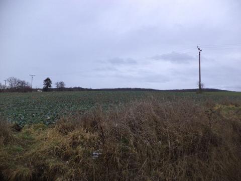 Prodej pozemku, Morkůvky, 6867 m2