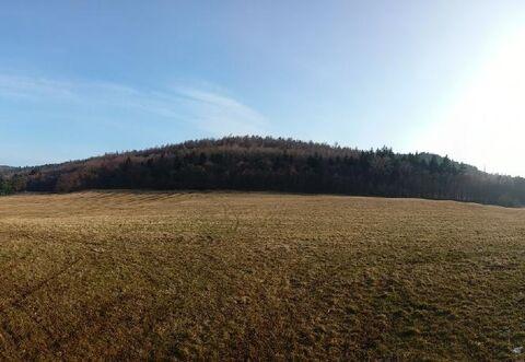 Prodej pozemku pro bydlení, Střílky, 4460 m2