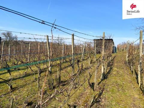 Prodej komerčního pozemku, Bzenec, 1748 m2