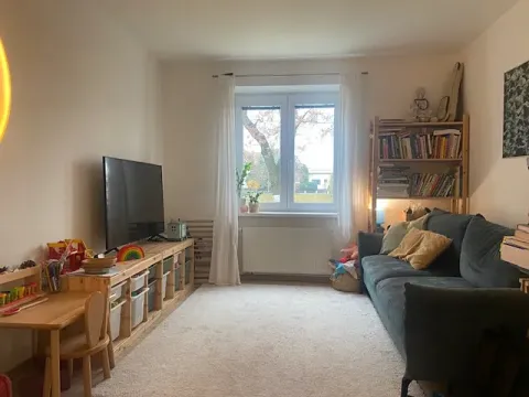 Pronájem bytu 2+1, Břeclav, Smetanovo nábřeží, 54 m2