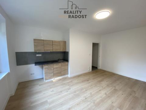 Pronájem bytu 1+kk, Havířov, Družstevnická, 23 m2