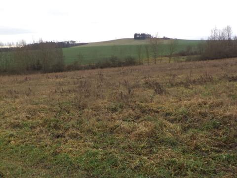 Prodej pozemku, Srby, 1445 m2