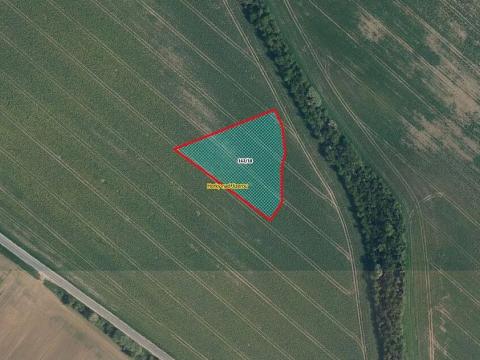 Prodej pole, Horky nad Jizerou, 4398 m2