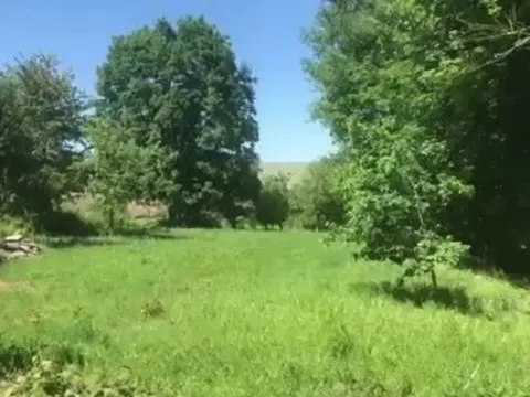 Dražba pozemku pro bydlení, Bělá nad Radbuzou, 1066 m2