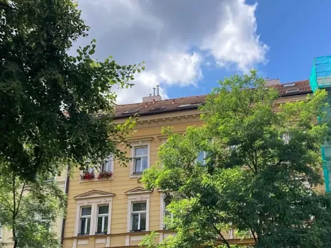 Pronájem - jiné, Praha - Holešovice, Osadní, 38 m2