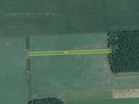 Prodej pole, Měnín, 5746 m2