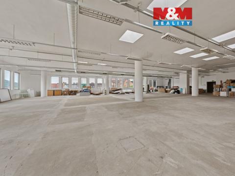 Pronájem obchodního prostoru, Děčín - Děčín IV-Podmokly, Plzeňská, 666 m2