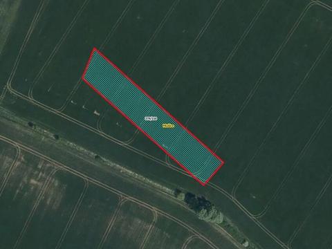 Prodej pole, Hlušice, 4486 m2