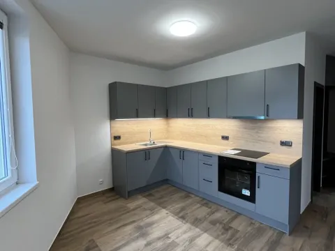 Pronájem bytu 2+1, Olomouc - Hodolany, Holická, 63 m2