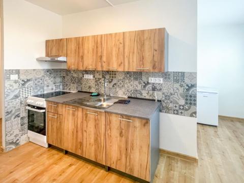 Pronájem bytu 1+1, České Budějovice - České Budějovice 2, Fr. Ondříčka, 43 m2