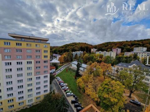 Prodej bytu 2+1, Litvínov - Horní Litvínov, Tylova, 53 m2