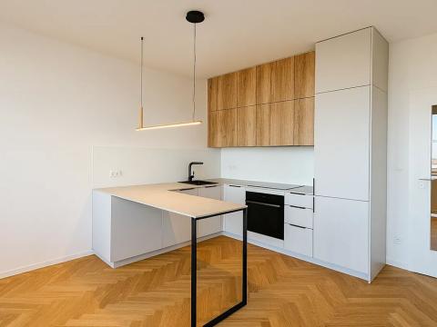 Pronájem bytu 2+kk, Praha, Vinohradská, 61 m2