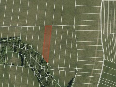 Prodej pole, Kaňovice, 2896 m2