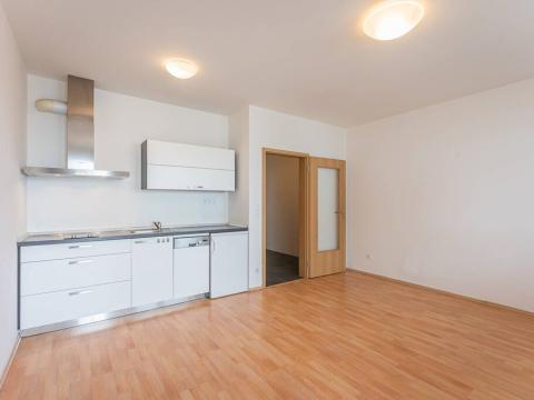 Pronájem bytu 1+kk, Praha - Michle, V dolině, 42 m2