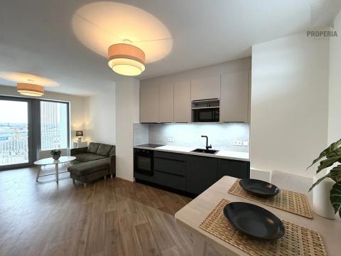 Pronájem bytu 2+kk, Brno, Řepova, 56 m2