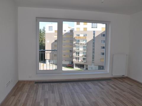 Pronájem bytu 1+kk, České Budějovice - České Budějovice 2, Volejbalistů, 28 m2
