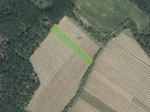 Prodej sadu/vinice, Znojmo, 3552 m2
