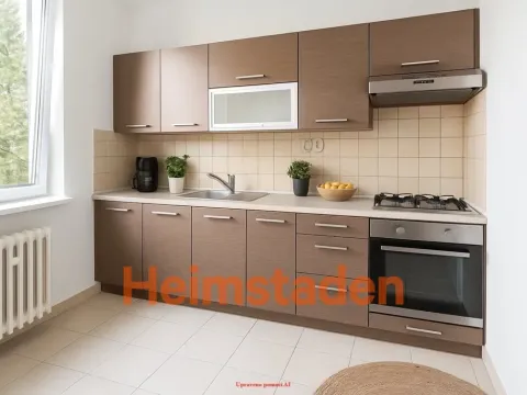Pronájem bytu 1+kk, Havířov - Prostřední Suchá, Hornická, 38 m2