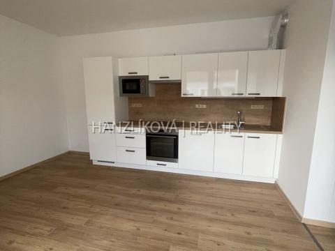 Pronájem bytu 3+kk, České Budějovice, Hálkova, 54 m2
