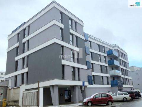 Pronájem bytu 1+kk, Plzeň - Jižní Předměstí, Kollárova, 50 m2