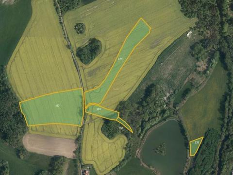 Prodej pole, Svídnice, 34596 m2