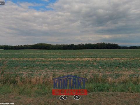 Prodej pole, Suchdol, 121476 m2