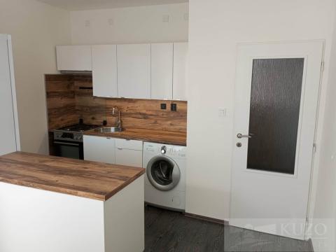 Pronájem bytu 1+1, Plzeň, Tachovská, 39 m2