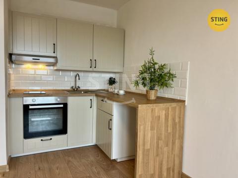 Pronájem bytu 1+kk, Ostrava, Francouzská, 29 m2