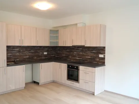 Pronájem bytu 3+kk, Brno, Vídeňská, 100 m2