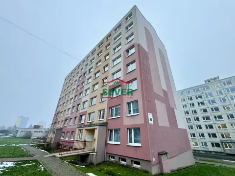 Prodej bytu 2+kk, Litvínov - Janov, Hamerská, 41 m2