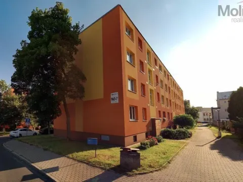 Pronájem bytu 2+1, Litvínov - Horní Litvínov, Vinohradská, 56 m2