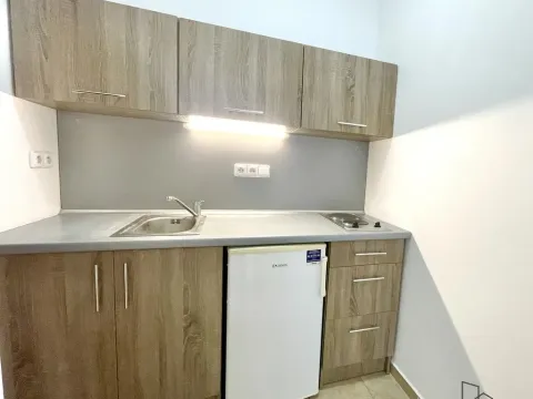 Pronájem bytu 2+kk, Olomouc - Hodolany, Březinova, 52 m2