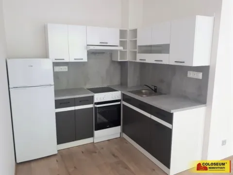 Pronájem bytu 1+kk, Blansko, Horní Palava, 44 m2