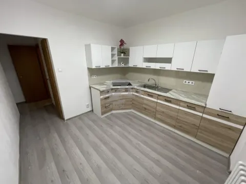 Prodej bytu 1+1, Orlová - Lutyně, Masarykova třída, 40 m2