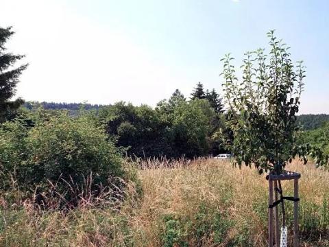 Dražba pozemku pro bydlení, Kostelec nad Černými lesy, Zahradní, 1788 m2