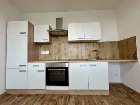 Pronájem bytu 1+1, Ostrava - Svinov, Evžena Rošického, 42 m2