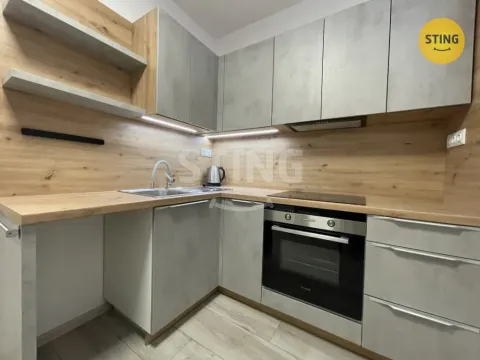 Pronájem bytu 1+1, Ostrava, Živičná, 38 m2