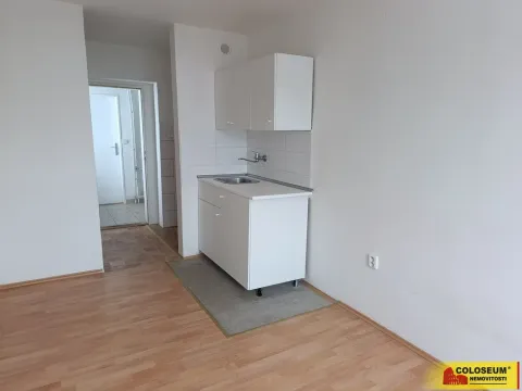Pronájem bytu 1+kk, Lipovec, 30 m2