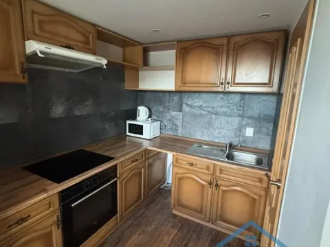 Pronájem bytu 1+1, Chomutov, Dobrovského, 50 m2