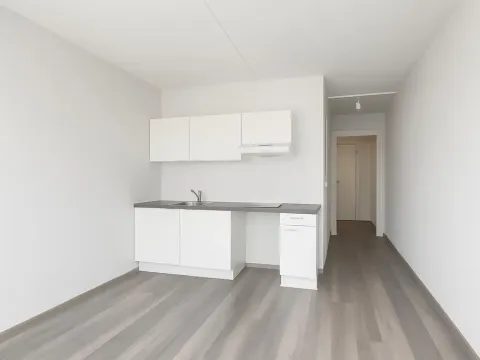 Pronájem bytu 1+kk, Praha - Střížkov, Chrastavská, 28 m2