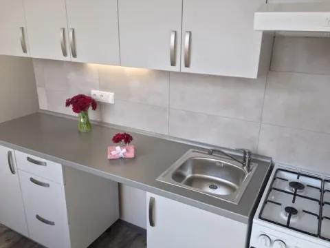 Pronájem bytu 2+1, Ostrava - Hrabůvka, Plzeňská, 53 m2