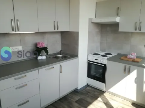 Pronájem bytu 1+1, Ostrava - Hrabůvka, Dr. Martínka, 36 m2