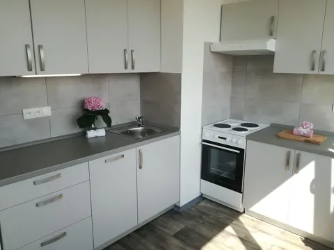 Pronájem bytu 1+1, Ostrava - Hrabůvka, Dr. Martínka, 36 m2