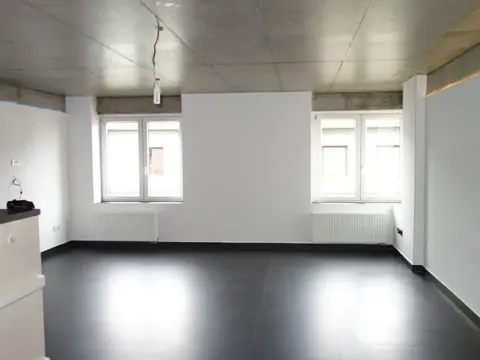 Prodej bytu 2+kk, České Budějovice, Rudolfovská tř., 98 m2