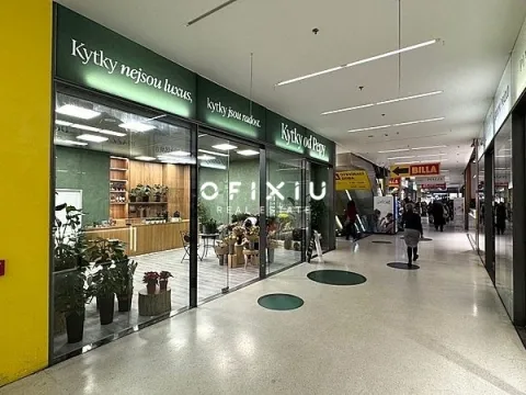 Pronájem obchodního prostoru, Brno, náměstí Svobody, 65 m2