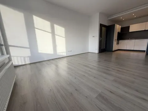 Pronájem bytu 2+kk, Pardubice - Zelené Předměstí, Pod Vinicí, 64 m2