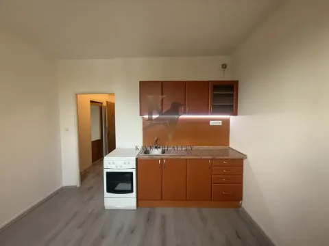 Pronájem bytu 1+1, Orlová, Lesní, 38 m2