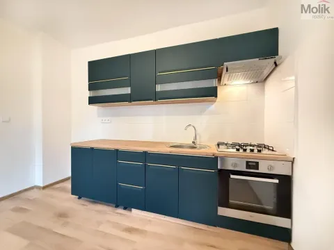 Pronájem bytu 2+kk, Háj u Duchcova, Kubátova, 50 m2