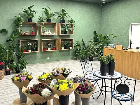 Pronájem obchodního prostoru, Brno, náměstí Svobody, 64 m2