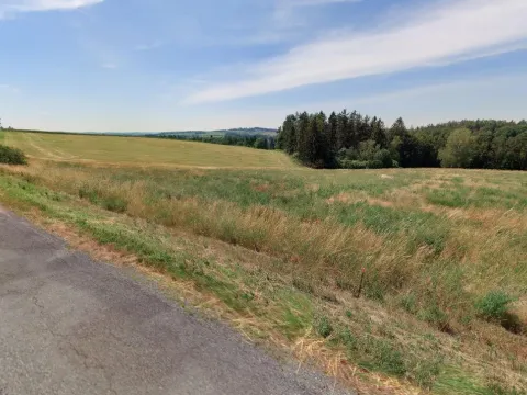 Prodej louky, Sázava - Bělokozly, 394 m2